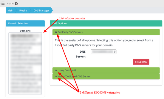 Smart SEO DNS Manager - Main interface