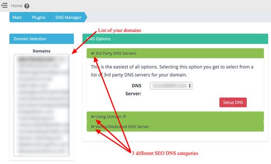 Smart SEO DNS Manager - ส่วนติดต่อหลัก